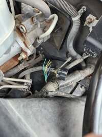 20250310_134926 (1).jpg