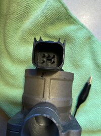 IMG_2561.jpeg