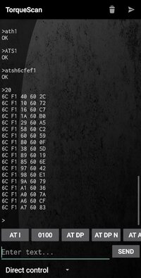 Screenshot_20250619-153336_TorqueScan.jpg