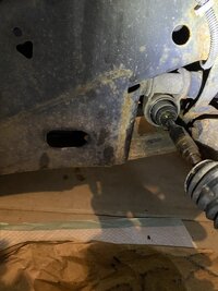 IMG_3194.jpeg