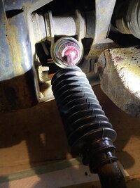 IMG_3195.jpeg