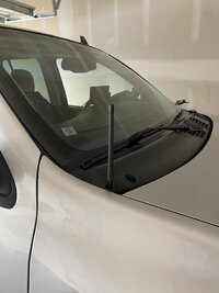 IMG_3304.jpeg