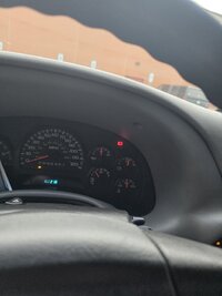 20250719_175647.jpg
