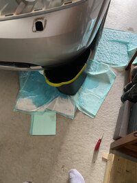 IMG_3463.jpeg