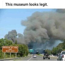 1000006167.jpg
