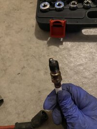 IMG_3660.jpeg