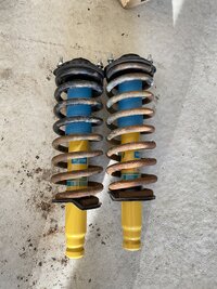 IMG_3759.jpeg