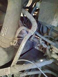 trans tubes iconnectd to radiator.jpg