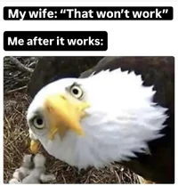 That won't work.webp