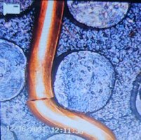 BROKEN20GAUGECOPPERWIRETRACE.jpg BROKEN20GAUGECOPPERWIRETRACE.jpg