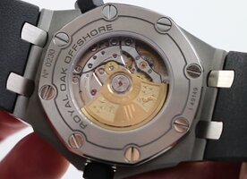 AUDEMARSPIQUETOFFSHOREBACK.jpg