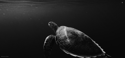 Screenshot at 2026-01-04 18-14-02.png