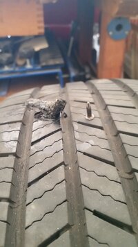 20260206_122146.jpg 20260206_122146.jpg