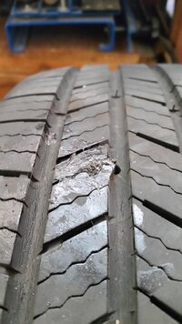 20260206_125211.jpg 20260206_125211.jpg