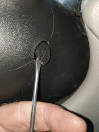 IMG_20200722_174004.jpg