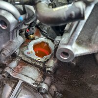 20260404_122731.jpg 20260404_122731.jpg